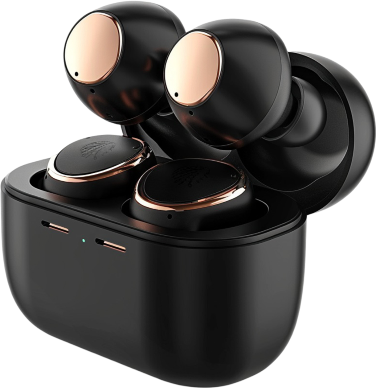 Ear Pods